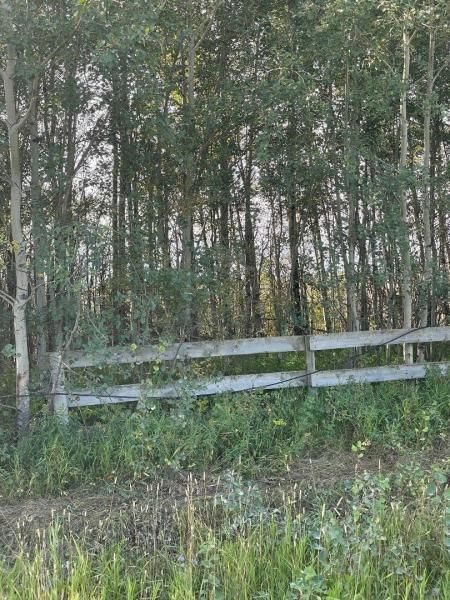 MLS #A1142192 image #0