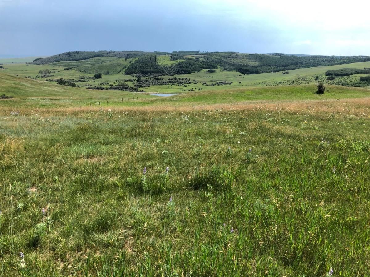 MLS #A1211593 image #0