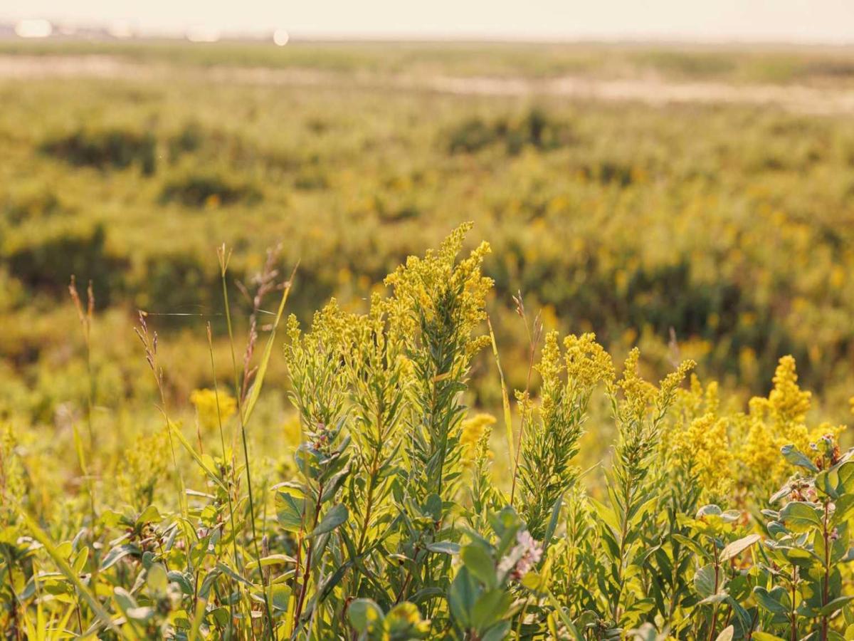 MLS #A2158857 image #0