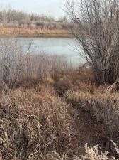 MLS #A2179461 image #0