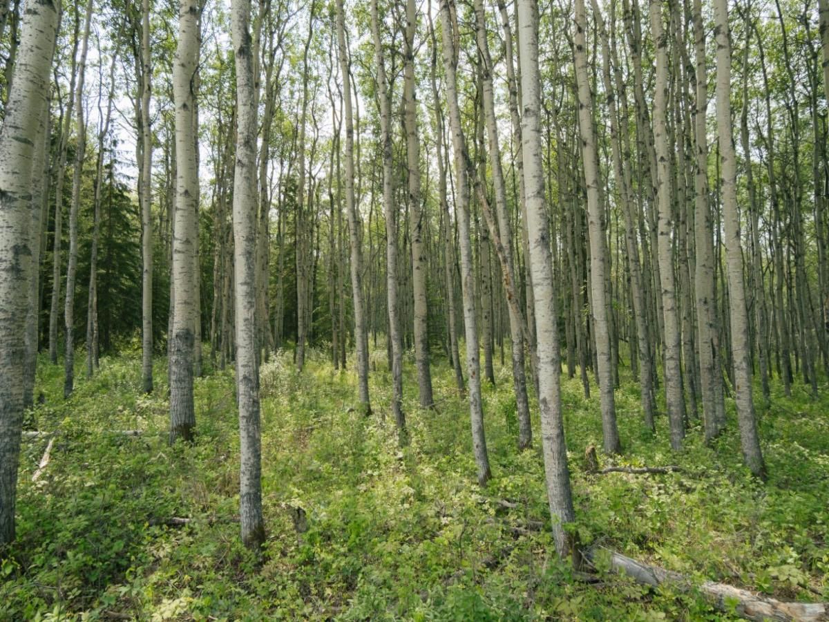 MLS #A2187592 image #0