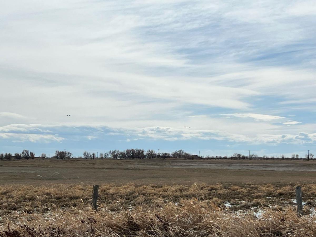 MLS #A2188490 image #0