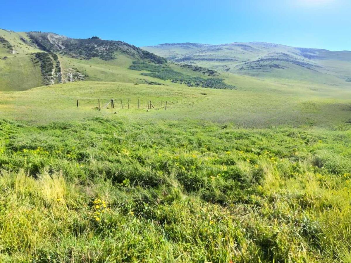 MLS #A2189271 image #0