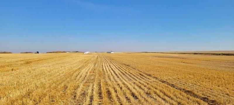 MLS #A2191154 image #0