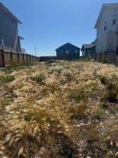 MLS #A2203915 image #0