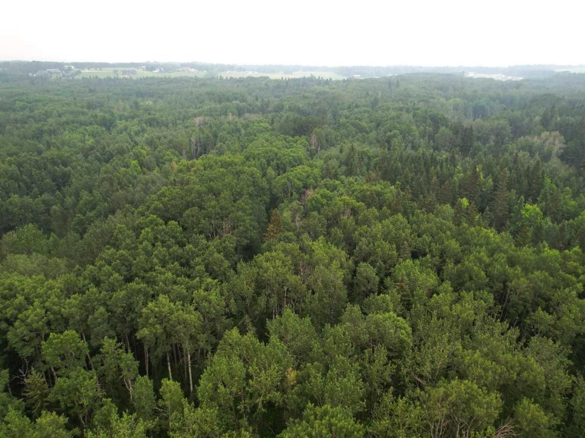 MLS #A2216202 image #0