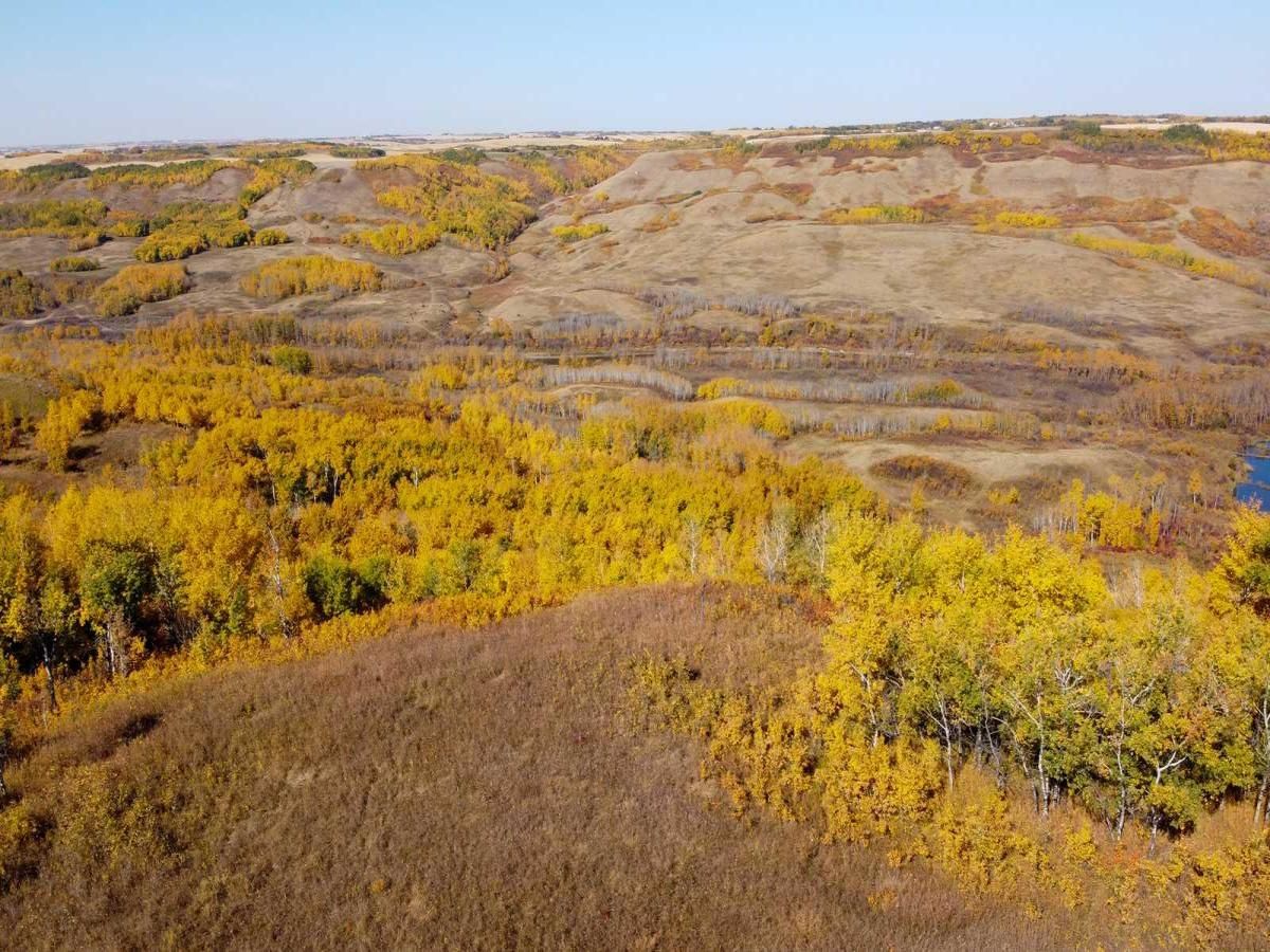 MLS #A2217863 image #0