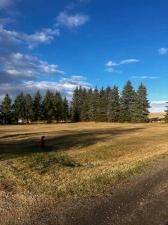 MLS #A2219096 image #0