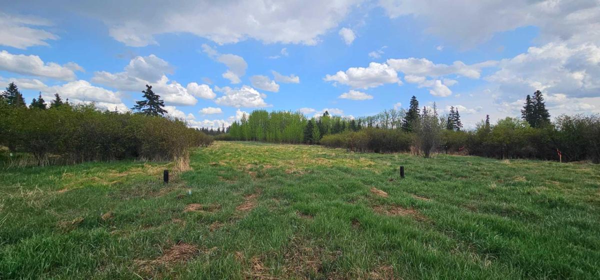 MLS #A2219701 image #0