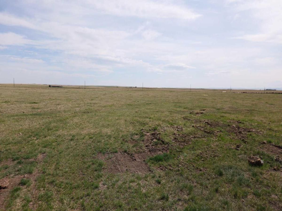 MLS #A2220775 image #0