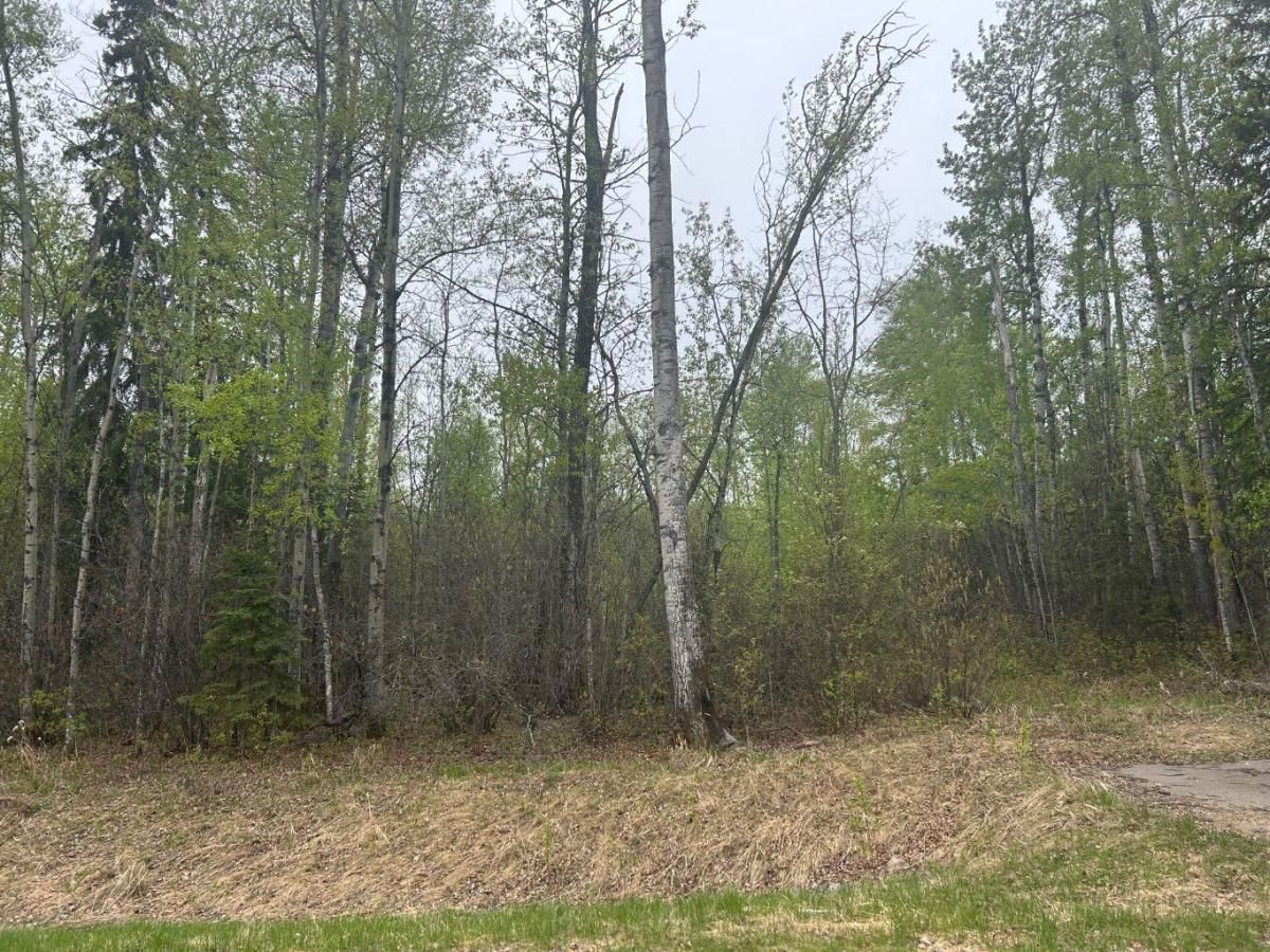 MLS #A2222673 image #0