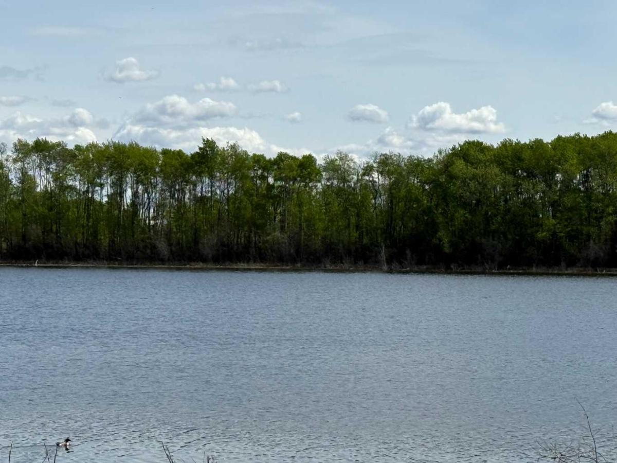 MLS #A2222797 image #0