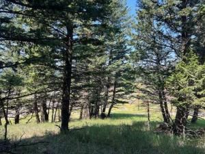 MLS #A2237652 image #0