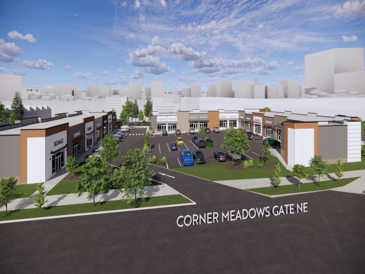 110 Cornerstone Manor NE Calgary AB T3N 1E9 MLS #A2241203 MLS #A2241203 image #0