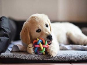 MLS #A2241878 image #0
