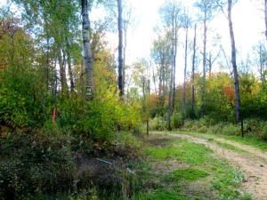 MLS #A2246298 image #0