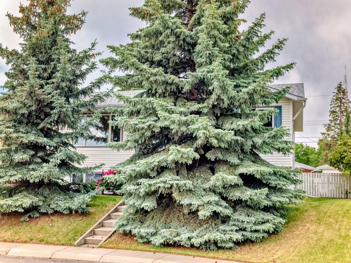 MLS #A2248385 image #0