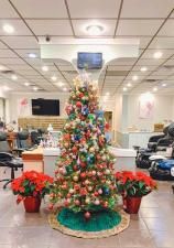 MLS #A2249825 image #0