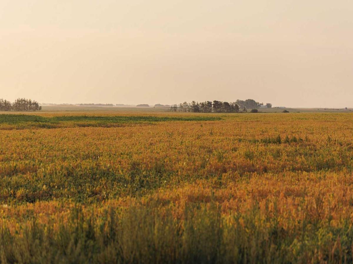 MLS #A2252287 image #0