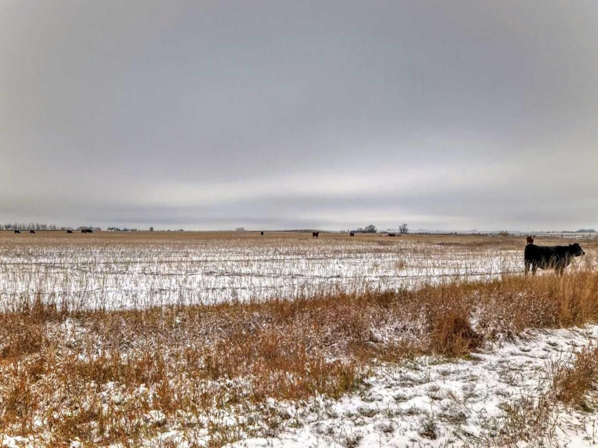 MLS #A2255351 image #0