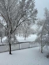 MLS #A2255771 image #0