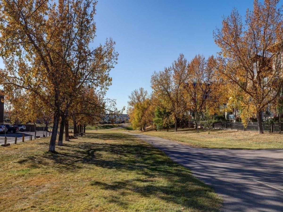 303, 4455D Greenview Drive NE Calgary AB T2E 6M1 MLS #A2257785 MLS #A2257785 image #0