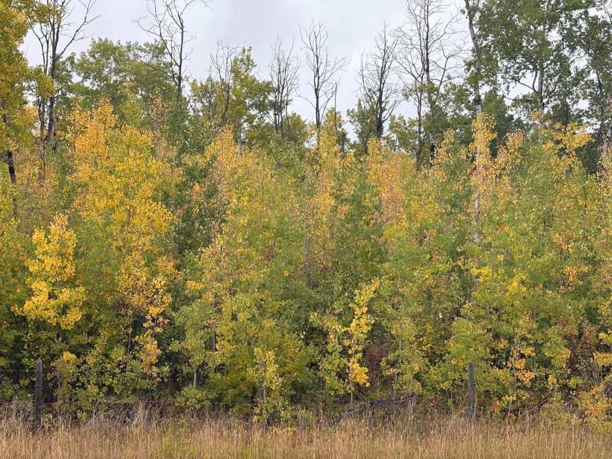 MLS #A2259155 image #0