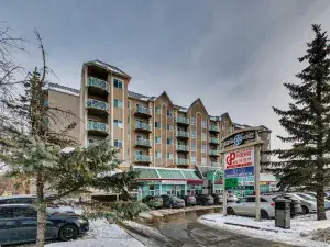 4517 1 Street SE Calgary AB T2E 3K4 MLS #A2246910 broker reciprocity