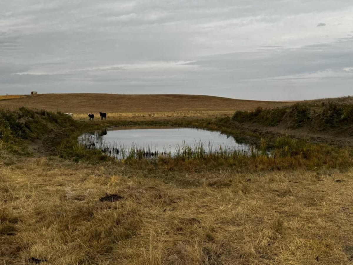 MLS #A2263165 image #0