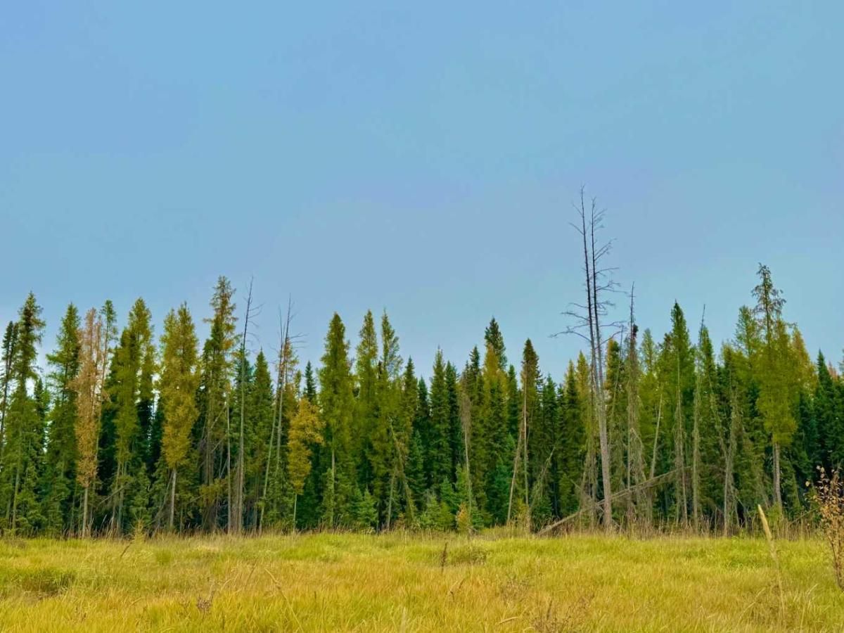 MLS #A2264709 image #0