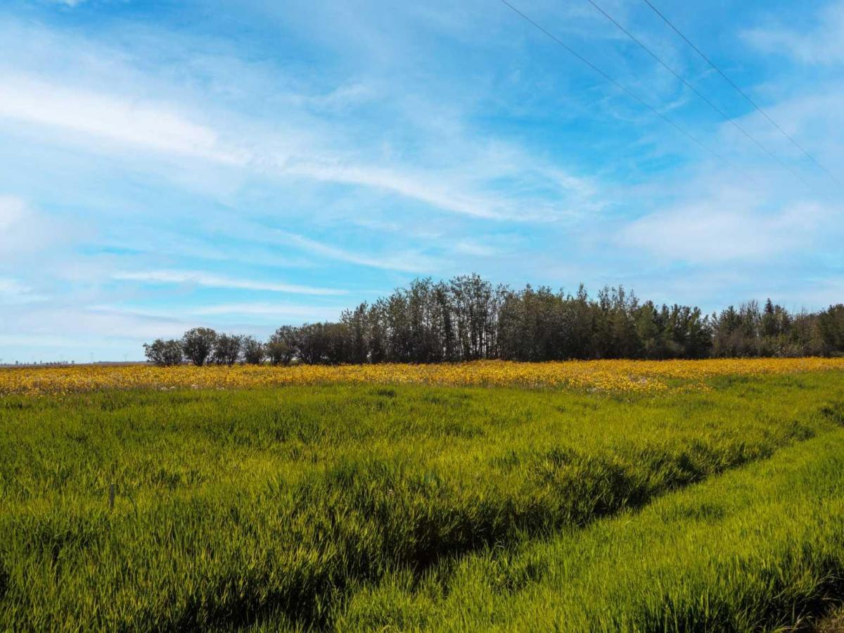 MLS #A2264806 image #0