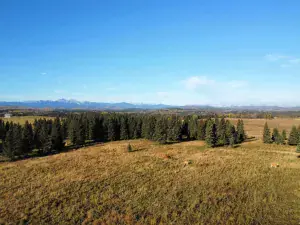 160 Acres Township Road 242 Rural Rocky View County AB T3Z0B8 MLS #A2262660 broker reciprocity
