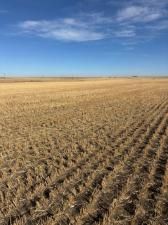 MLS #A2266529 image #0