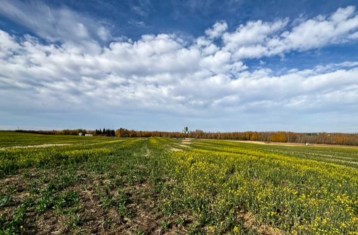 MLS #A2273913 image #0