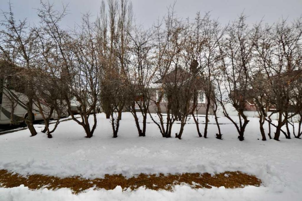 MLS #A2274113 image #0