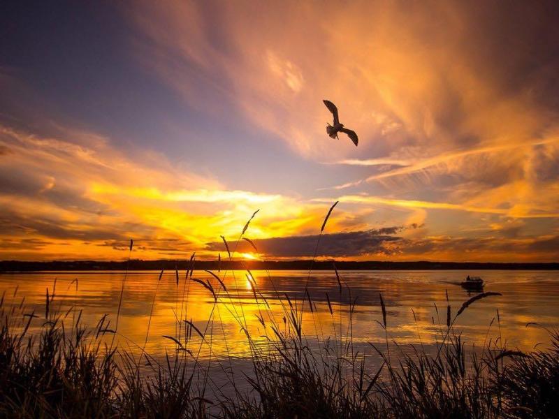 MLS #A2275789 image #0