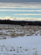 MLS #A2278393 image #0