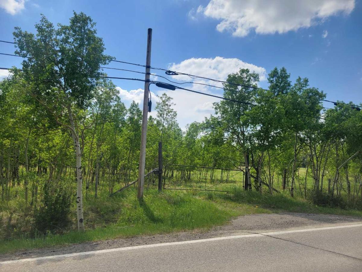 24166 Old Banff Coach Road Rural Rocky View County AB T3Z 3N4 | MLS #A2315537 MLS #A2315537 image #0