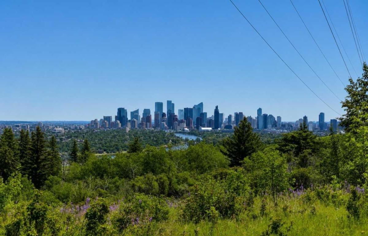 204, 328 Cedar Crescent SW Calgary AB T3C 2Y8 | MLS #A2331961 MLS #A2331961 image #0