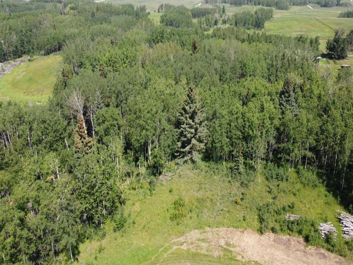 28 Elkstone Way Rural Rocky View County AB T4C2Y8 | MLS #A2338964 MLS #A2338964 image #0