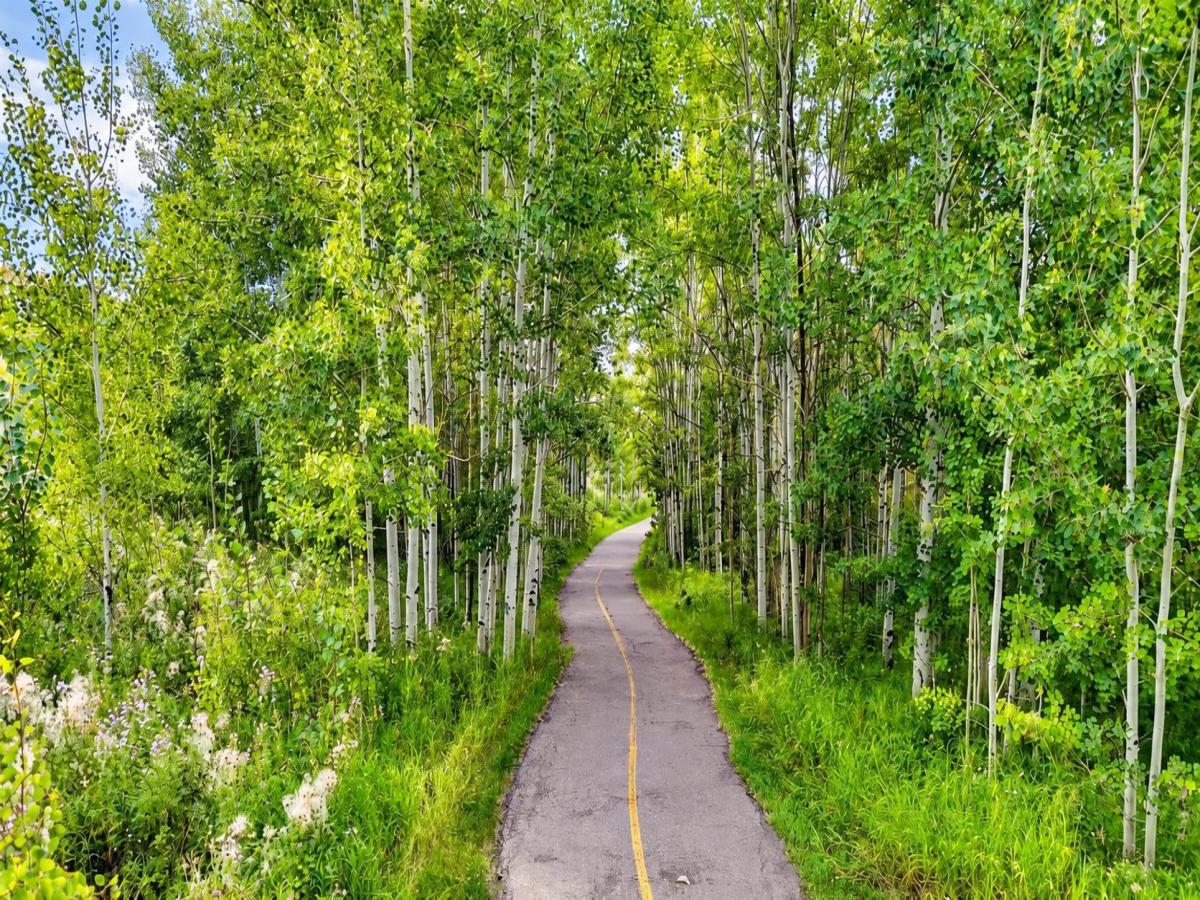 Calgary Homes for Sale from $300k to $400k MLS #A2343912 image #0