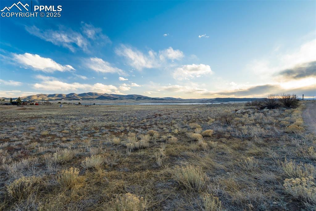 MLS #5555196 image #0