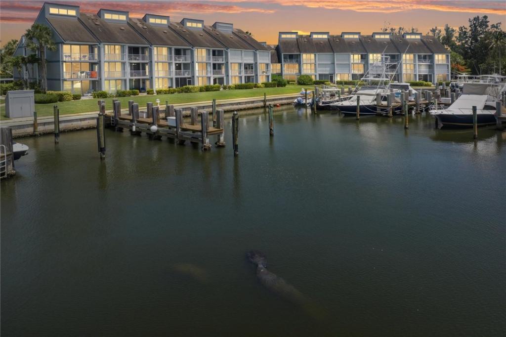 MLS #297616 image #0