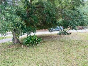 MLS #299004 image #0