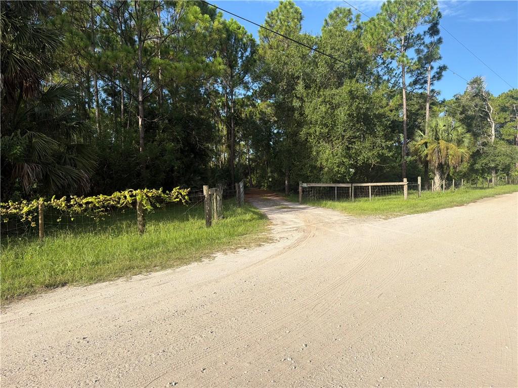 MLS #299516 image #0