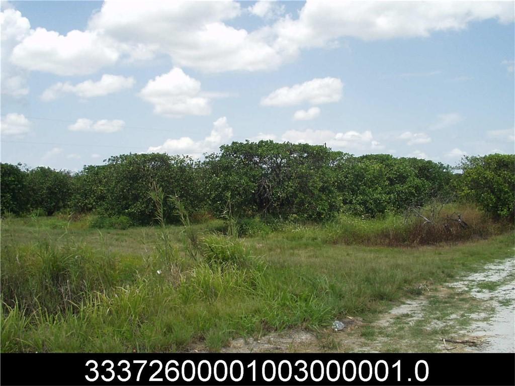 MLS #300746 image #0