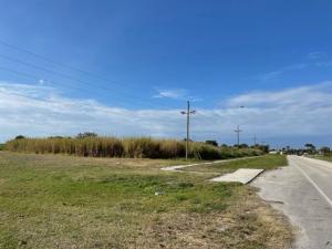 MLS #RX-10771090 image #0