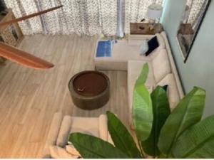 MLS #RX-10875819 image #0