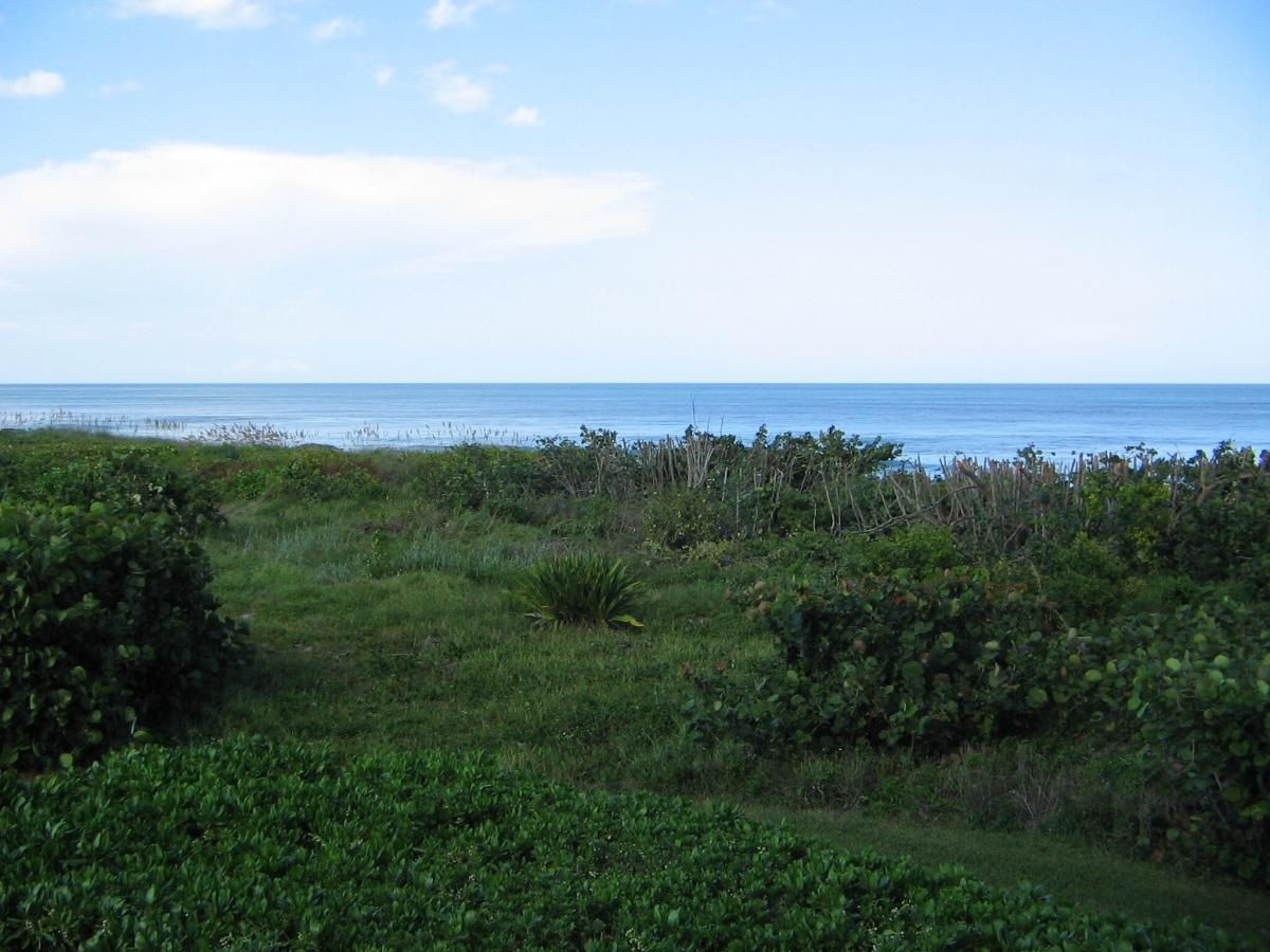 MLS #RX-10932771 image #0