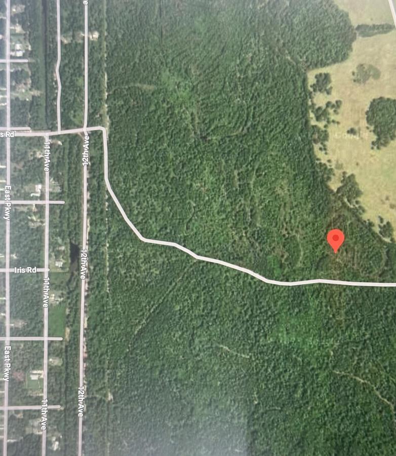 MLS #RX-10934472 image #0